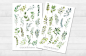 Preview: Blätter und Pflanzen Sticker Set